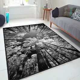 Conceptum Els1902 Alfombra de Terciopelo Multicolor 80 x 120 cm
